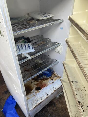 The Fridge Too