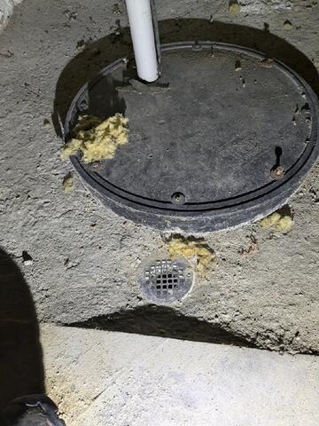 Existing Sump and Drain