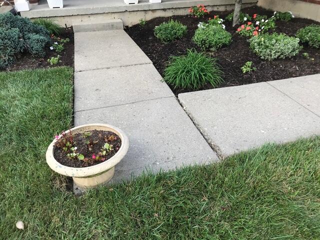 Unlevel Sidewalk