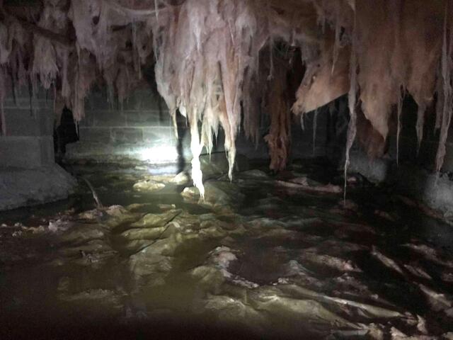 Wet Crawl Space