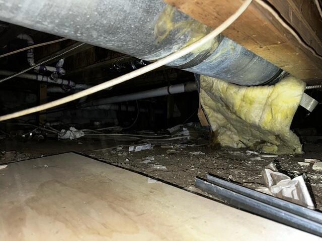 Damp Crawl Space Conditions