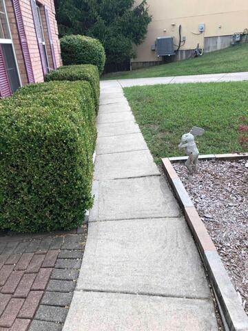 Uneven Sidewalk
