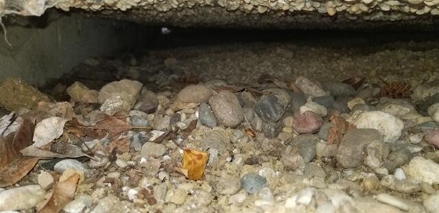 Void Under Slab
