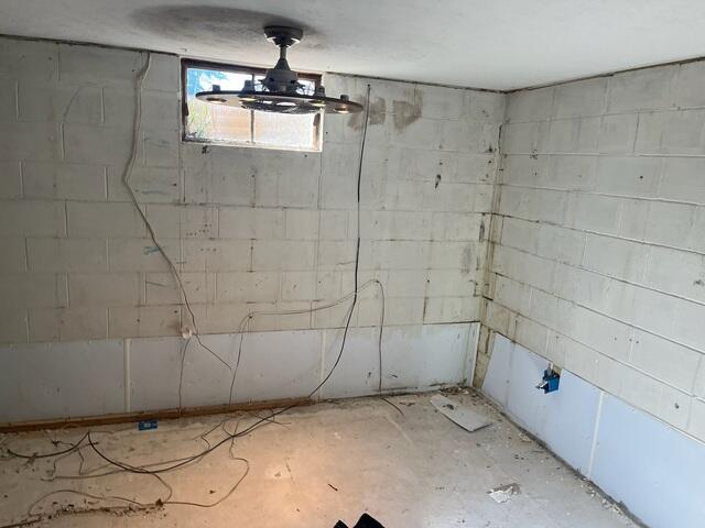 Dingy Basement Walls