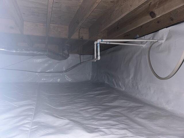 CleanSpace®