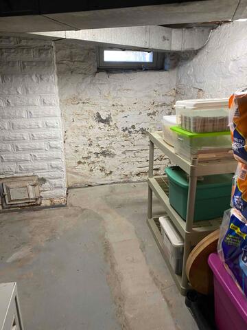 Dirty Basement Walls