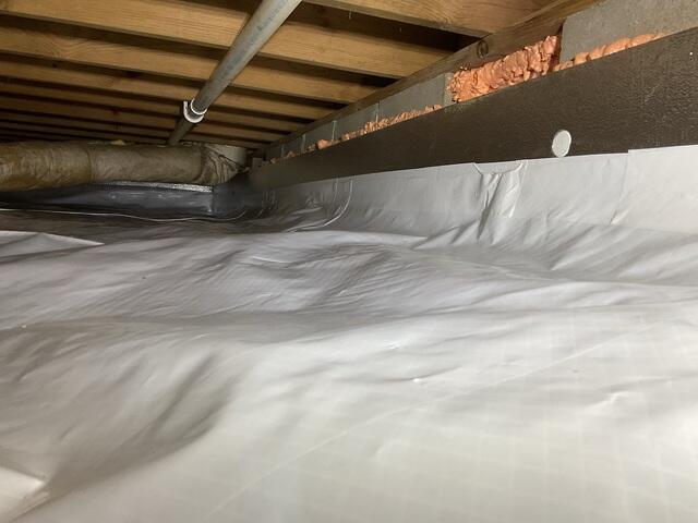 CleanSpace and SilverGlo