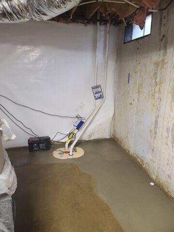 TripleSafe Sump Pump