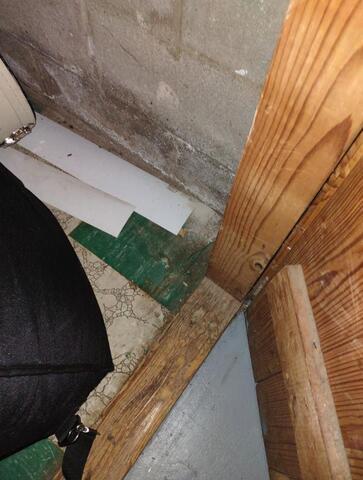 Signs of Water Invasion on Basement Wall and Doorway