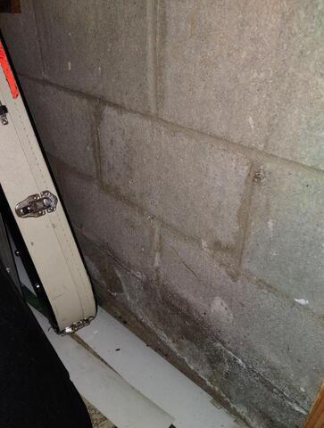 Efflorescence on Basement Wall