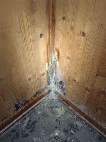 Wood Rot from Water Intrusion in Harper Woods, Michigan Basement