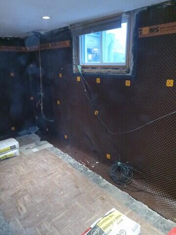Wall membrane