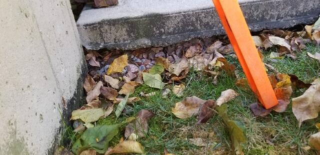 Soil Washout
