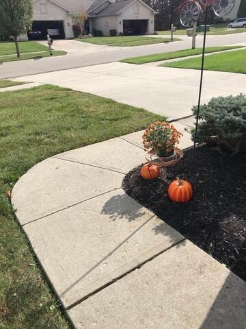 Gaps in Sidewalk