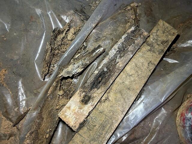 Rotten Wood