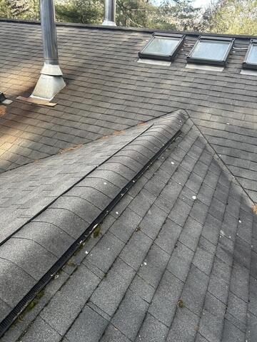 Roof Ridge - Before