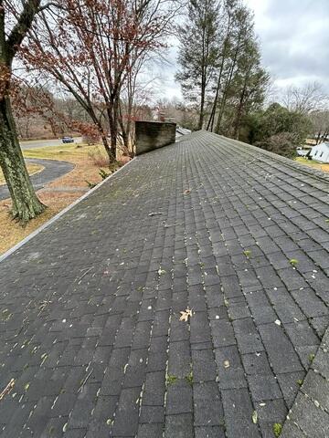 Weathered Roof With Lichen and Moss
