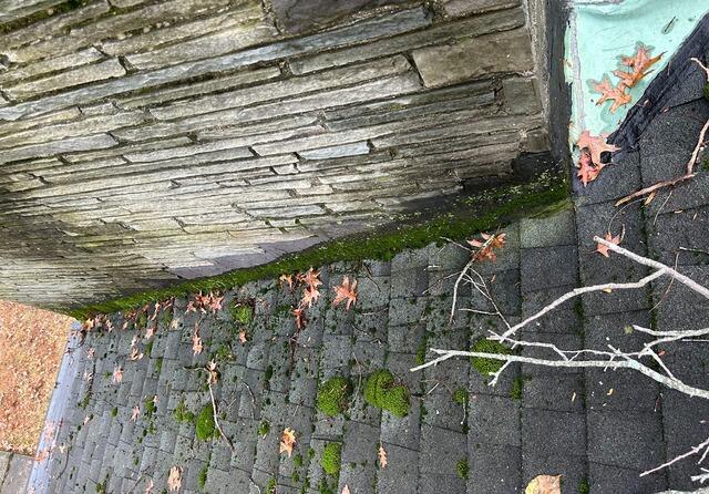 Moss Growth on Chimney