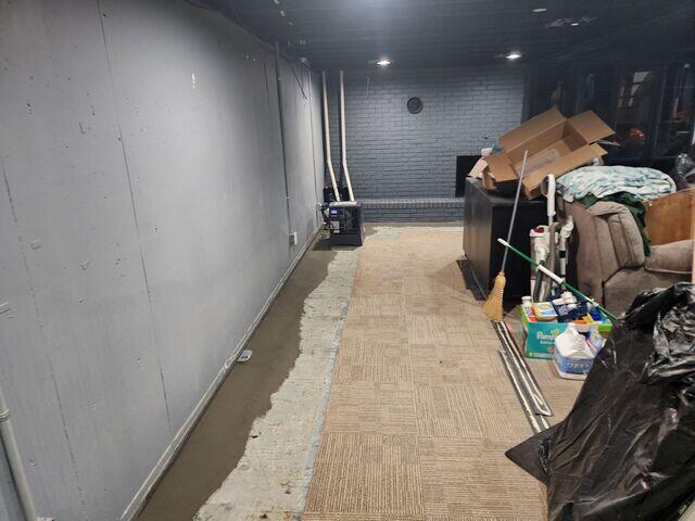 Subfloor Drainage System