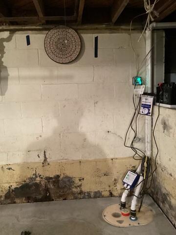 TripleSafe Sump Pump