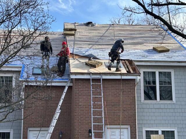 Plywood Around Skylight Is Replaced