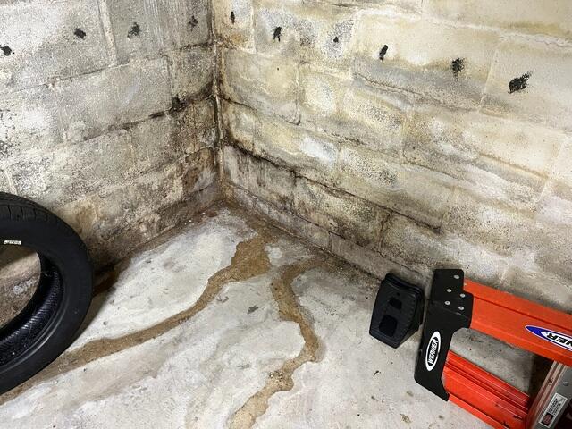 Leaking Cove Joint
