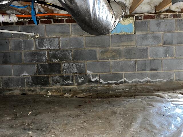 Before Sealing Crawl Space