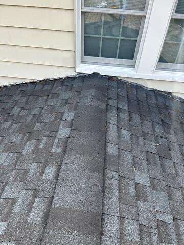 Before: Old, Damaged, & Mossy