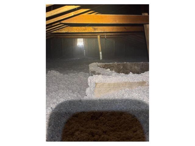 Dense Cellulose