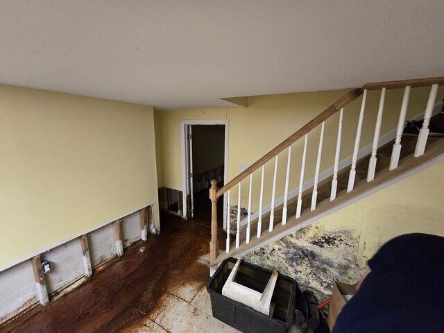 What Causes Basement Mold Growth?