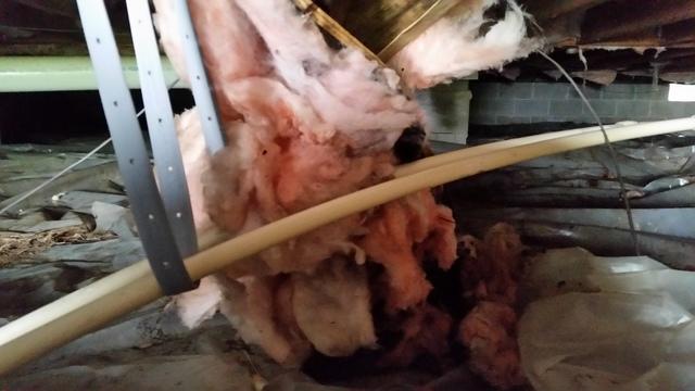 This photo captures another angle of the sagging insulation in this homeowner's crawl space. 