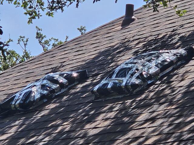 Damaged Skylights