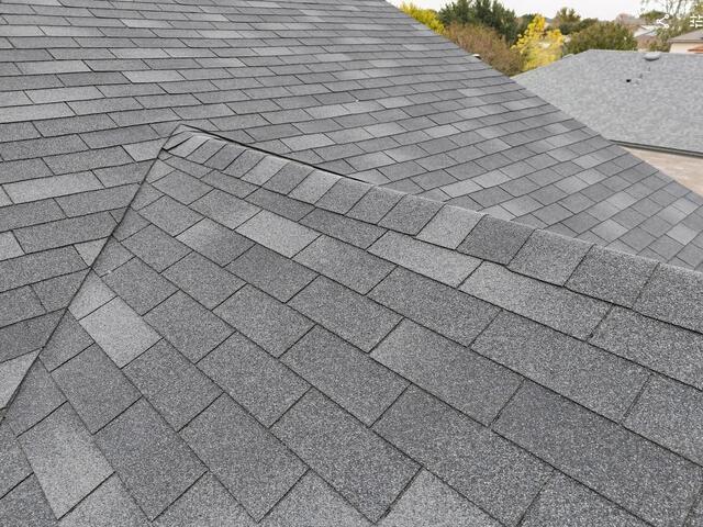 Black newer shingles