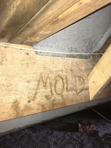 Moldy Crawl Space