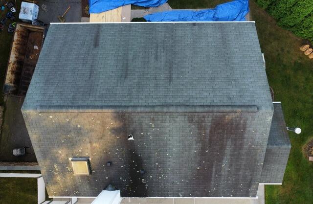 Before: Stained Shingles & Lichen