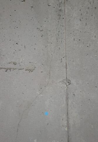 Image of crack before repairs