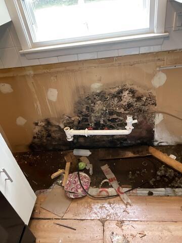 Kitchen Sink Vanity Hiding Mold in Seymour, CT.