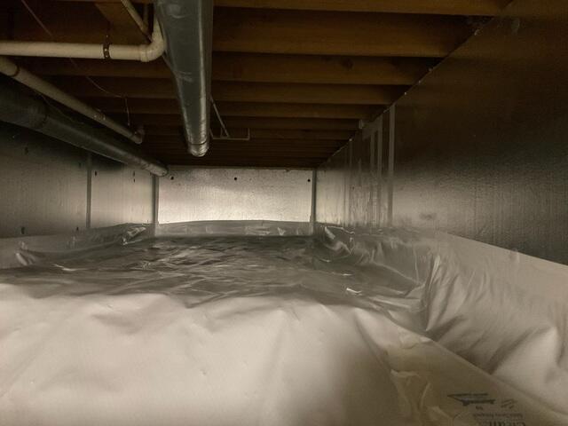 CleanSpace and SilverGlo Encapaulation