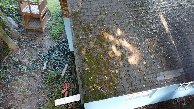 Before: Algae Growth