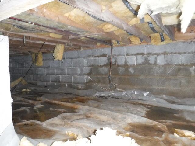 Musty Crawl Space