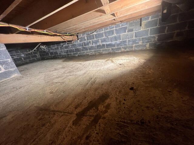 Crawl Space Puddles