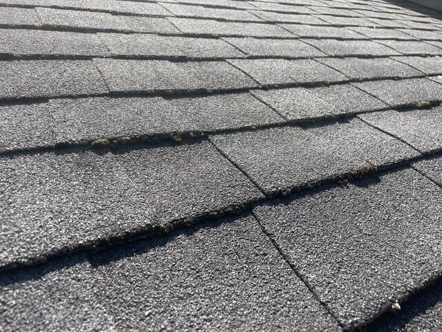 Before: Moss Growth Beneath Shingles