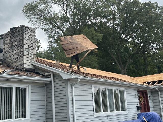 Bad Plywood Is Removed