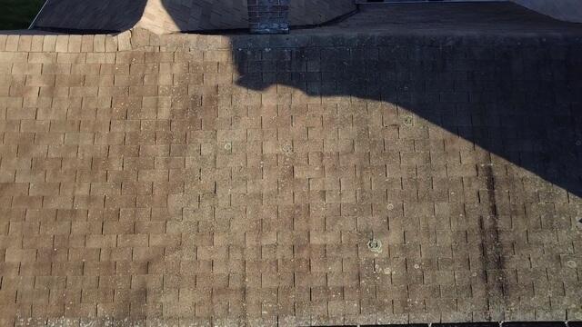 Before: Algae & Lichen