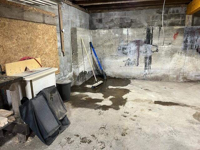 Wet Basement