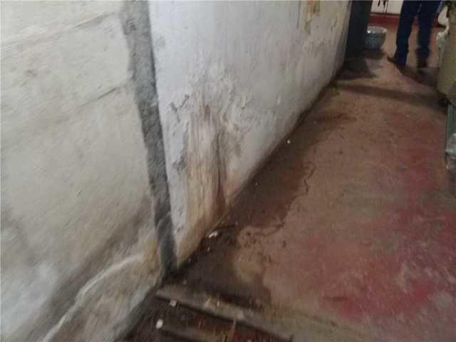 Damp Basement