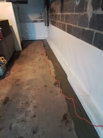 WaterGuard and CleanSpace