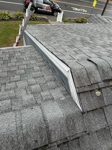 Before: Lichen, Moss, Lifting
