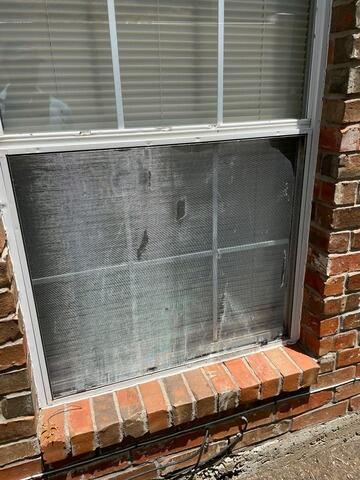 Damaged Window Screens