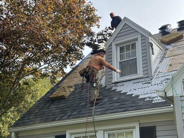 Next, New Shingles